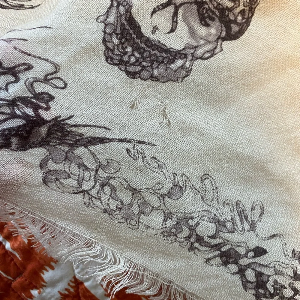 Alexander McQueen large skull & birds blanket scarf - Picture 4 of 6
